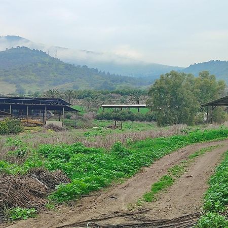 Family Cabin Menahemya ภายนอก รูปภาพ