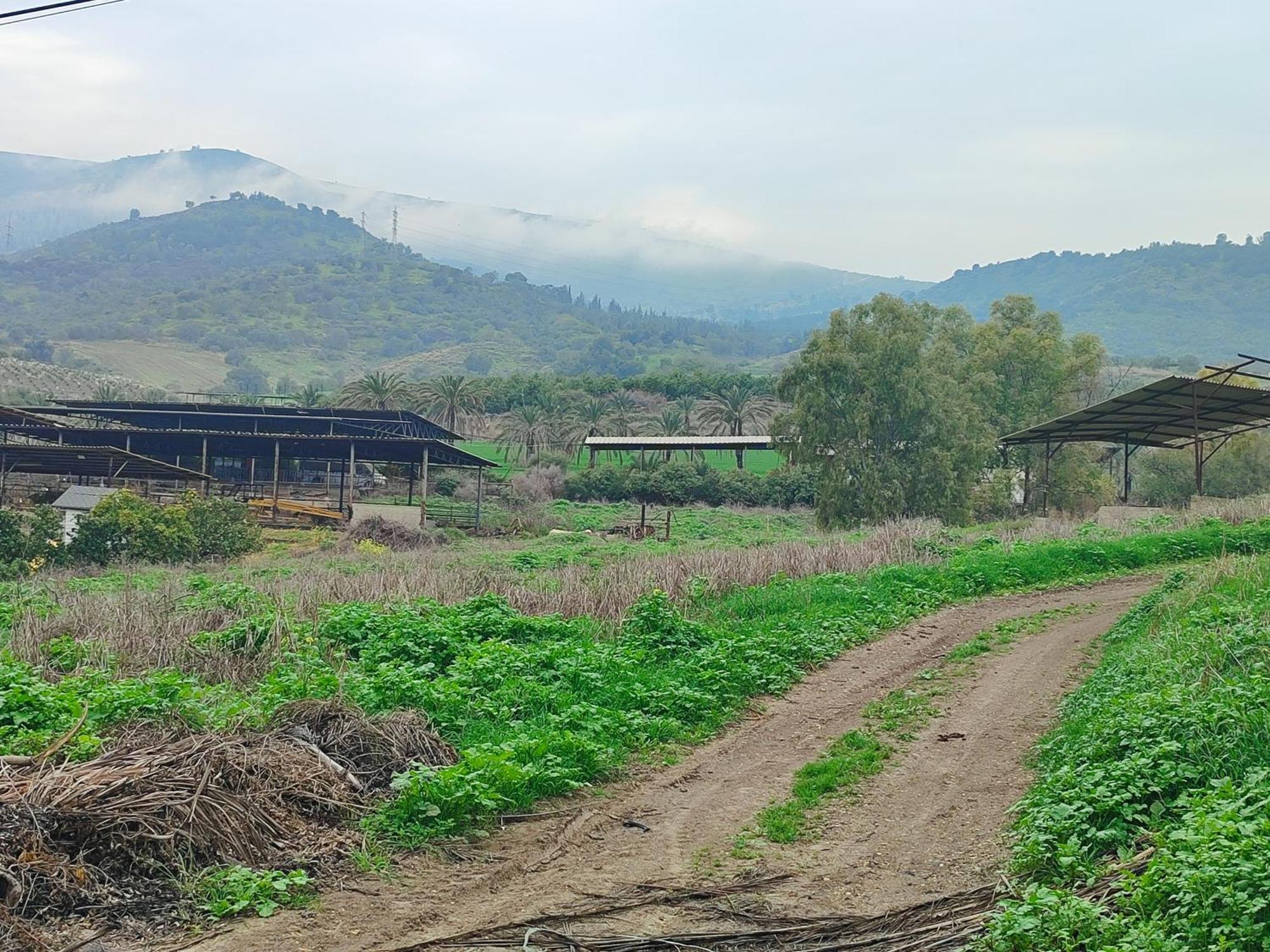 Family Cabin Menahemya ภายนอก รูปภาพ